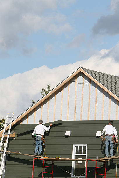 Best Steel Siding Installation  in Steelville, MO